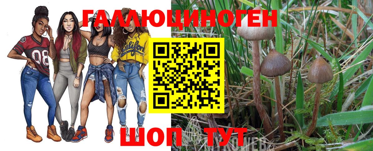Галлюциногенные грибы мицелий Калач-на-Дону