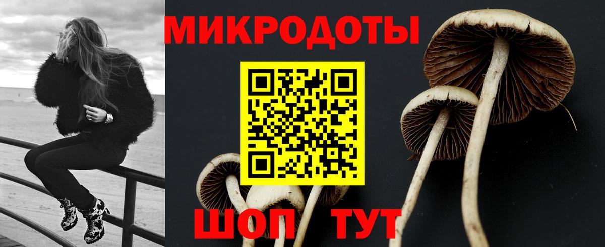Калач-на-Дону  Псилоцибиновые грибы Psilocybine cubensis  Галлюциногенные грибы Psilocybine cubensis  купить наркоту  Вход с VPN 