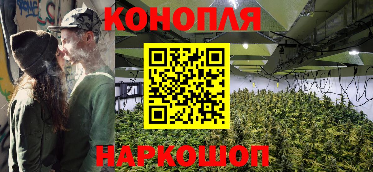 Каннабис конопля Калач-на-Дону